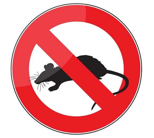 Dératisation Tunisie - Société anti-rats et souris 100% efficace